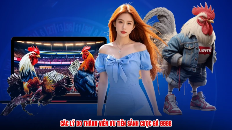 Các lý do thành viên ưu tiên sảnh cược gà 888B