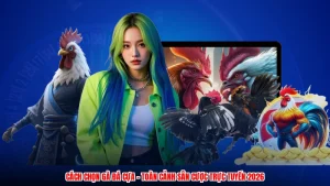 Cách Chọn Gà Đá Cựa - Toàn Cảnh Sân Cược Trực Tuyến 2026