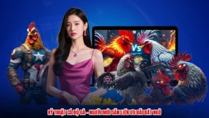 Kỹ Thuật Cá Độ Gà - Người Mới Săn Liền Ưu Đãi Bất Ngờ