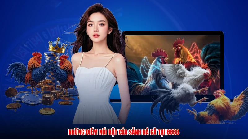 Những điểm nổi bật của sảnh đá gà tại 888B