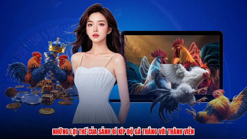 Những lợi thế của sảnh bí kíp độ gà thắng với thành viên