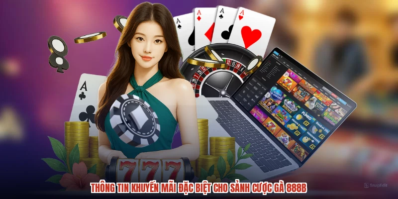 Thông tin khuyến mãi đặc biệt cho sảnh cược gà 888B