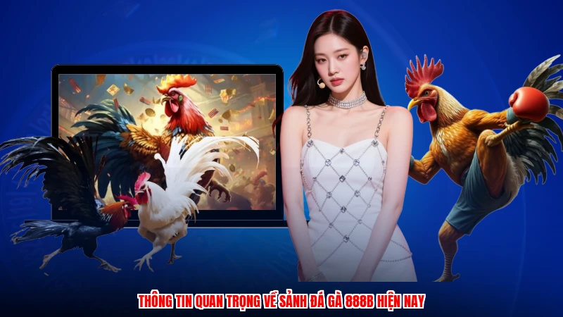 Thông tin quan trọng về sảnh đá gà 888B hiện nay