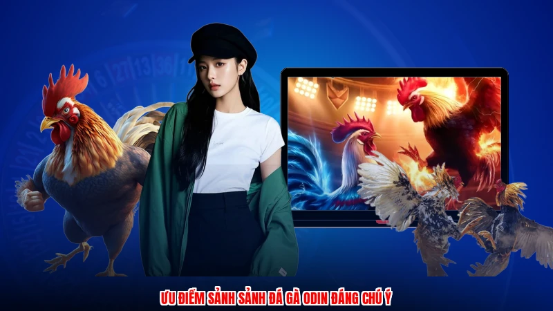 Ưu điểm sảnh sảnh đá gà odin đáng chú ý