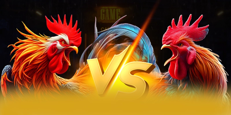 Nen tang tren dien thoai di dong cung 8XBET