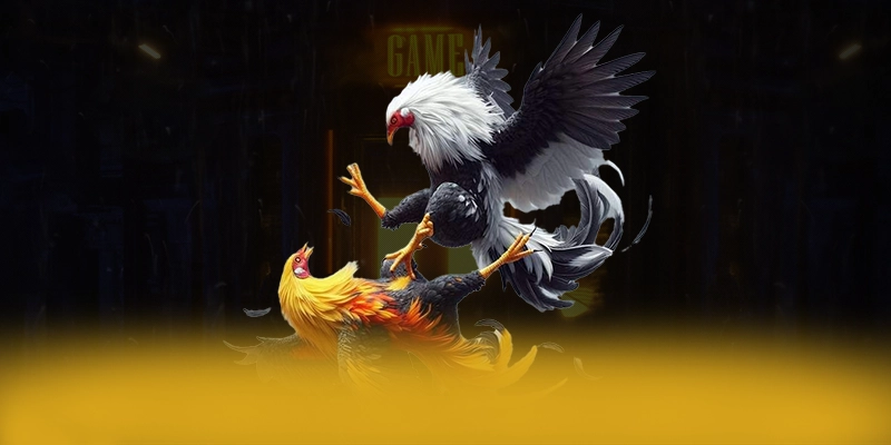 Câu hỏi thường gặp về [THUONG_HIEU]