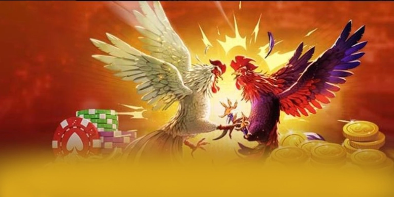 Độ tin cậy thông tin người dùng tại 8xbet